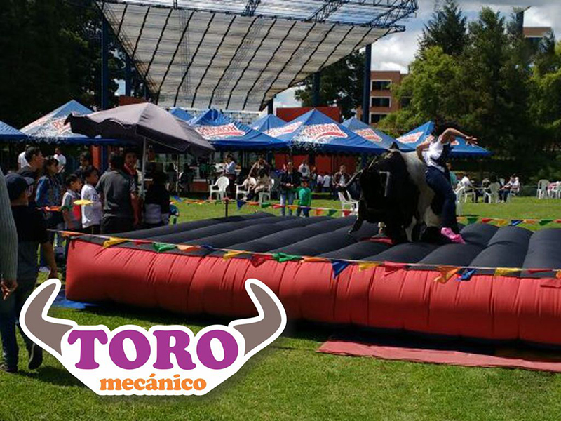 alquiler toro mecanico bogota
